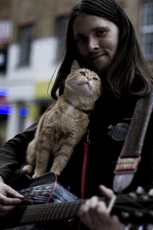 James Bowen and his best friend Bob the street cat